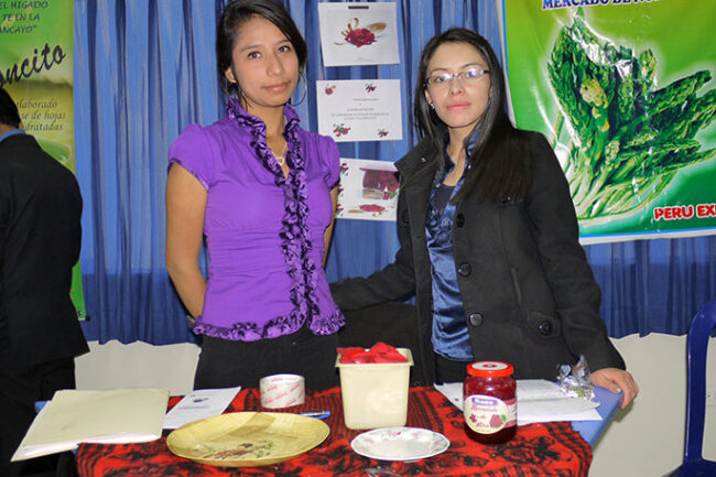 presentacion_planes_negocio1
